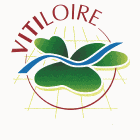 Vitiloire