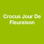 Crocus Jour De Fleuraison