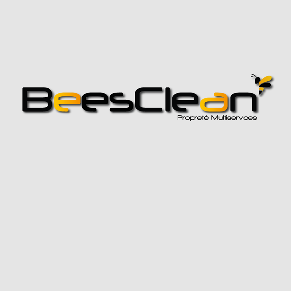 Bees clean Services divers aux particuliers