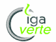 Cigaverte Cigarettes électroniques