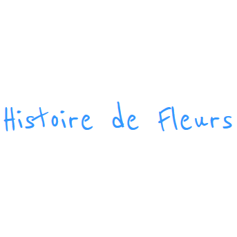 Histoire De Fleurs fleuriste