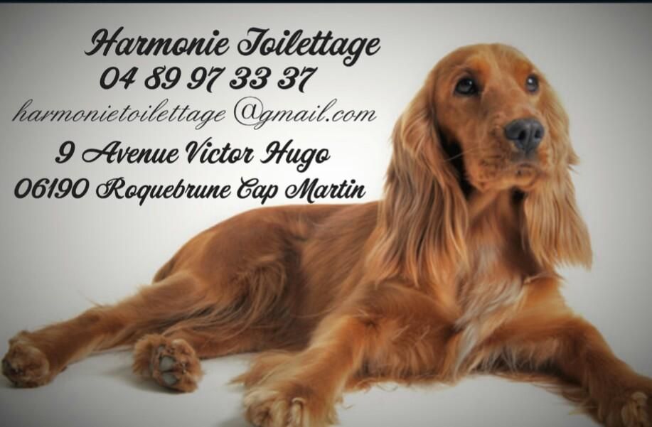 Harmonie Toilettage à Roquebrune Cap Martin 06190 R Victor