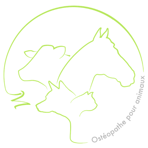Mazieres Mathilde - Ostéopathe animalier - Equin/Canin ostéopathe
