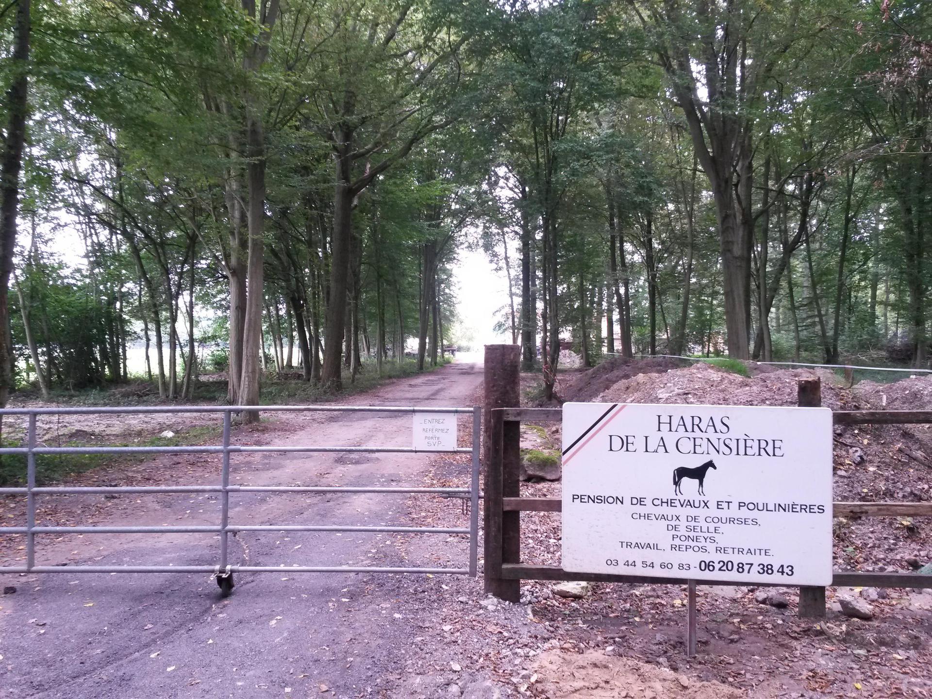 Société Du Domaine SARL centre équestre, équitation