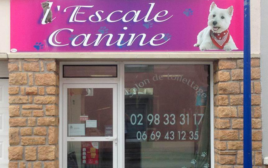 L'Escale Canine toilettage de chien et chat