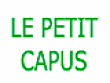 Les Petits Capus fruits, légumes frais et primeurs (détail)