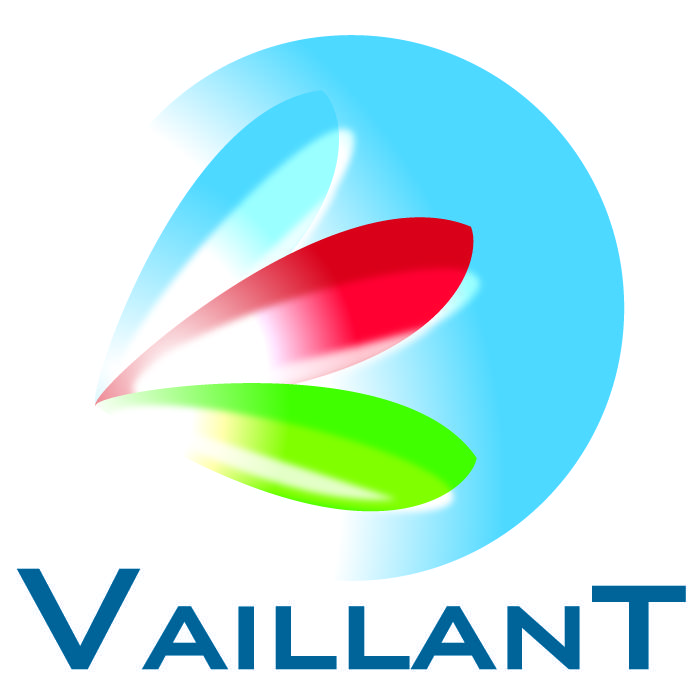 Vaillant chauffagiste