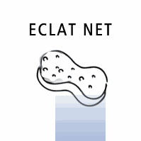 Eclat Net Services divers aux particuliers