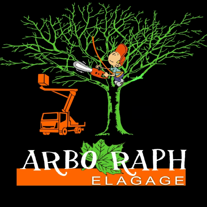 Arbo Raph exploitation de forêts