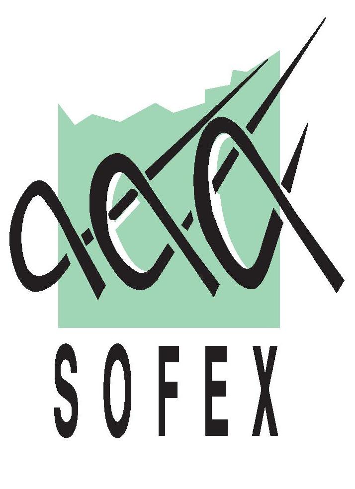 Sofex Audit Et Expertise Comptable