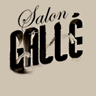 Salon Gallé Coiffure, beauté