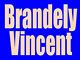 Brandely Vincent expert en immobilier