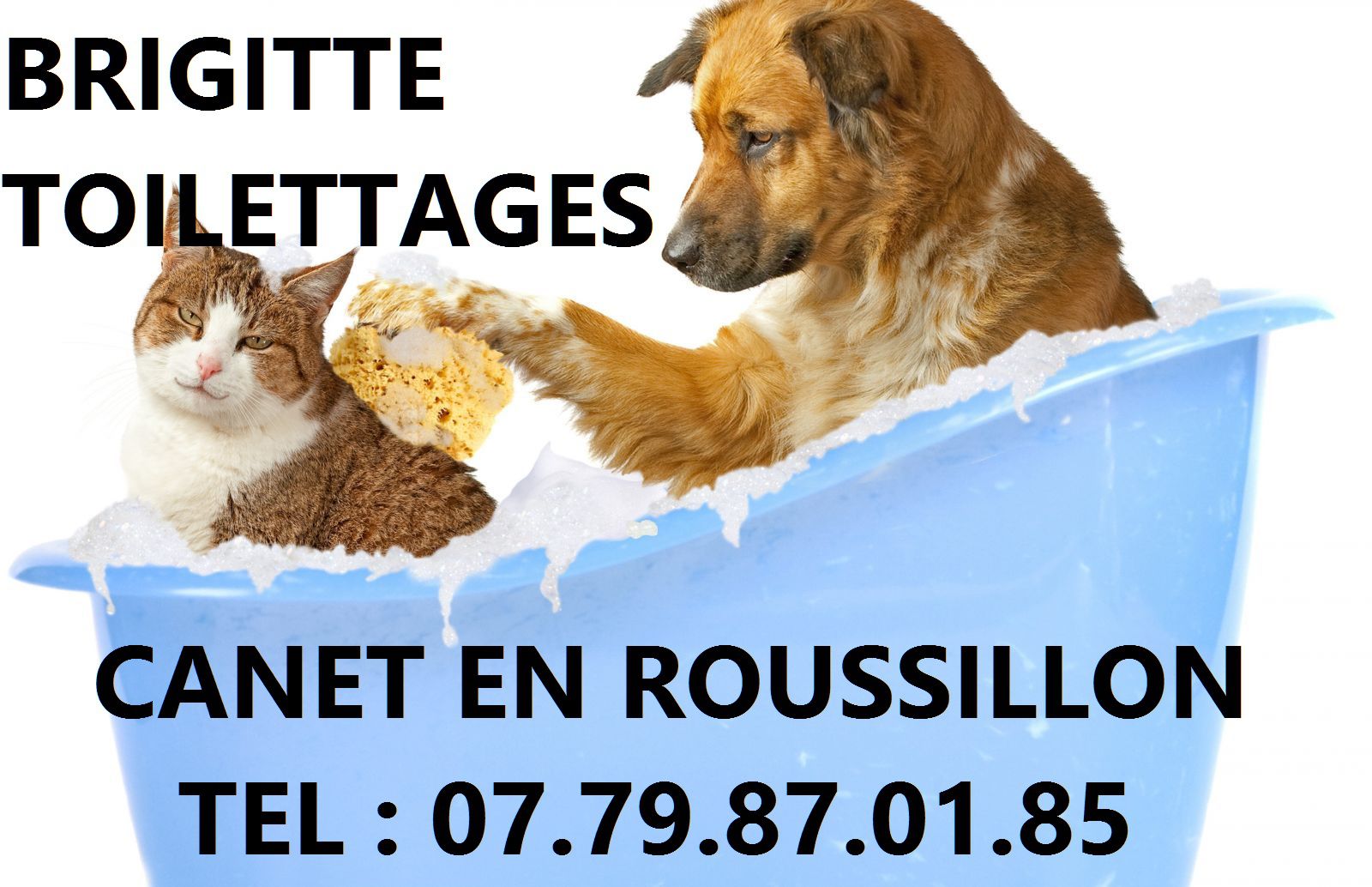 Brigitte Toilettage toilettage de chien et chat