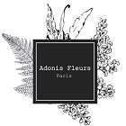 Adonis Fleur Paris Atelier fleuriste