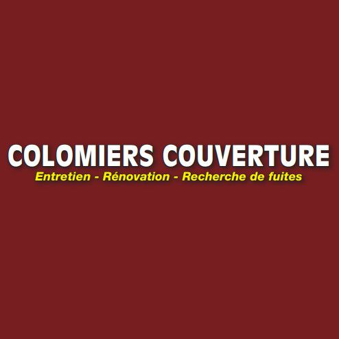 Colomiers Couverture ramonage