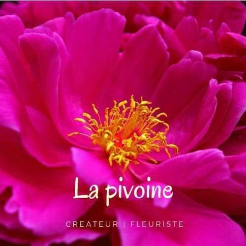 La Pivoine fleuriste