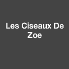 Les Ciseaux De Zoe Coiffure, beauté