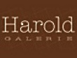 Harold Galerie photographe d'art et de portrait