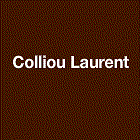 Colliou Laurent entreprise de travaux publics