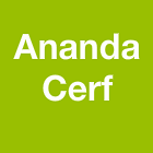 Cerf Ananda bricolage, outillage (détail)