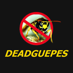 Dead Guepes désinfection, désinsectisation et dératisation