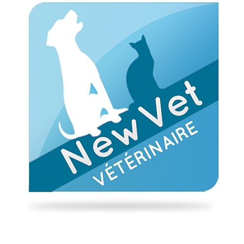 LISKA CLAIRE- New VET vétérinaire