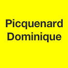 Picquenard Dominique