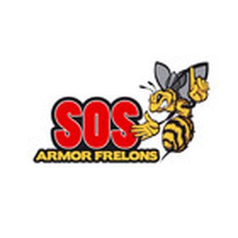 SOS ARMOR FRELONS désinfection, désinsectisation et dératisation