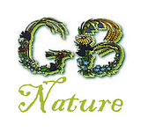 GB Nature jardin, parc et espace vert (aménagement, entretien)