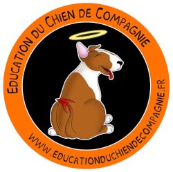 Education du Chien de Compagnie dressage animal