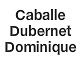 Caballe-dubernet Dominique infirmier, infirmière (cabinet, soins à domicile)