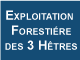 Exploitation Forestière des 3 Hêtres bois de chauffage