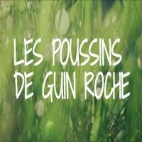 Les Poussins De Guin Roche bestiaux (commerce)