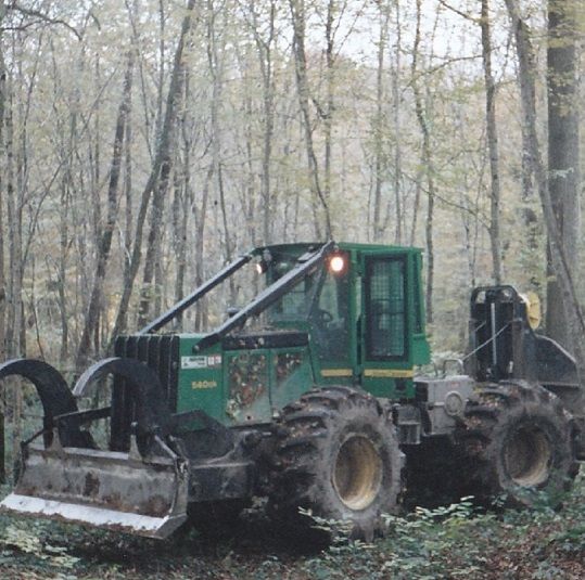 SAS Choffe T.t.f. exploitation de forêts