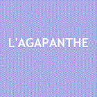 L'Agapanthe