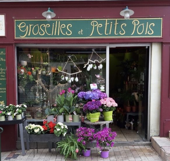 GROSEILLES ET PETIT POIS fleuriste