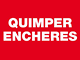 Quimper Enchères conseil départemental