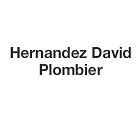 Hernandez David