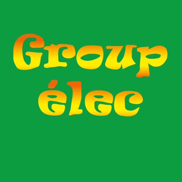 Group Elec électricité (production, distribution, fournitures)