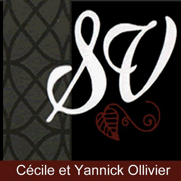 Restaurant Le Sarment De Vigne restaurant