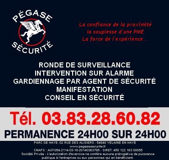 Pégase Sécurité