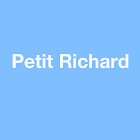 Petit Richard peinture et vernis (détail)