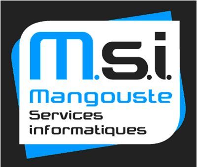 M.S.I. dépannage informatique