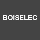 Boiselec Cheron Adrien électricité générale (entreprise)