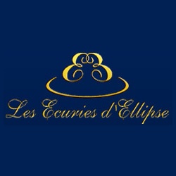 Les Ecuries d'Ellipse haras, élevage de chevaux