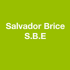 Salvador Brice S.B.E entrepreneur paysagiste