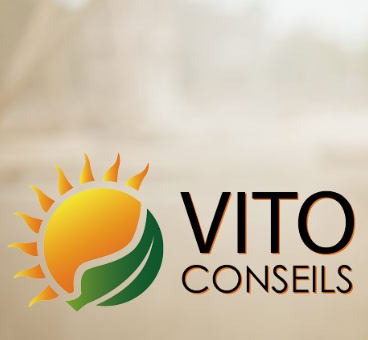 Vito Conseils SAS