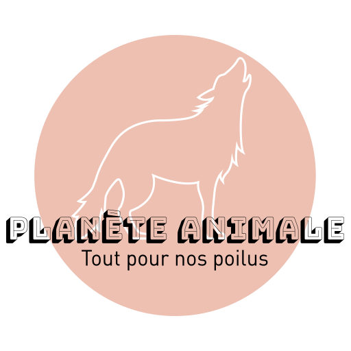 Planete Animale animalerie