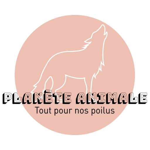 Planete Animale Ouvert le dimanche