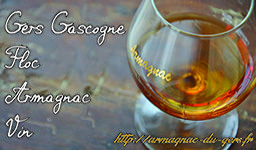 Gascogne Gers Floc Armagnac Vins vin (producteur récoltant, vente directe)